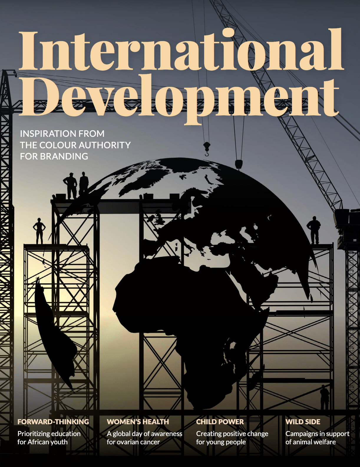 International Development portfolio cover image
