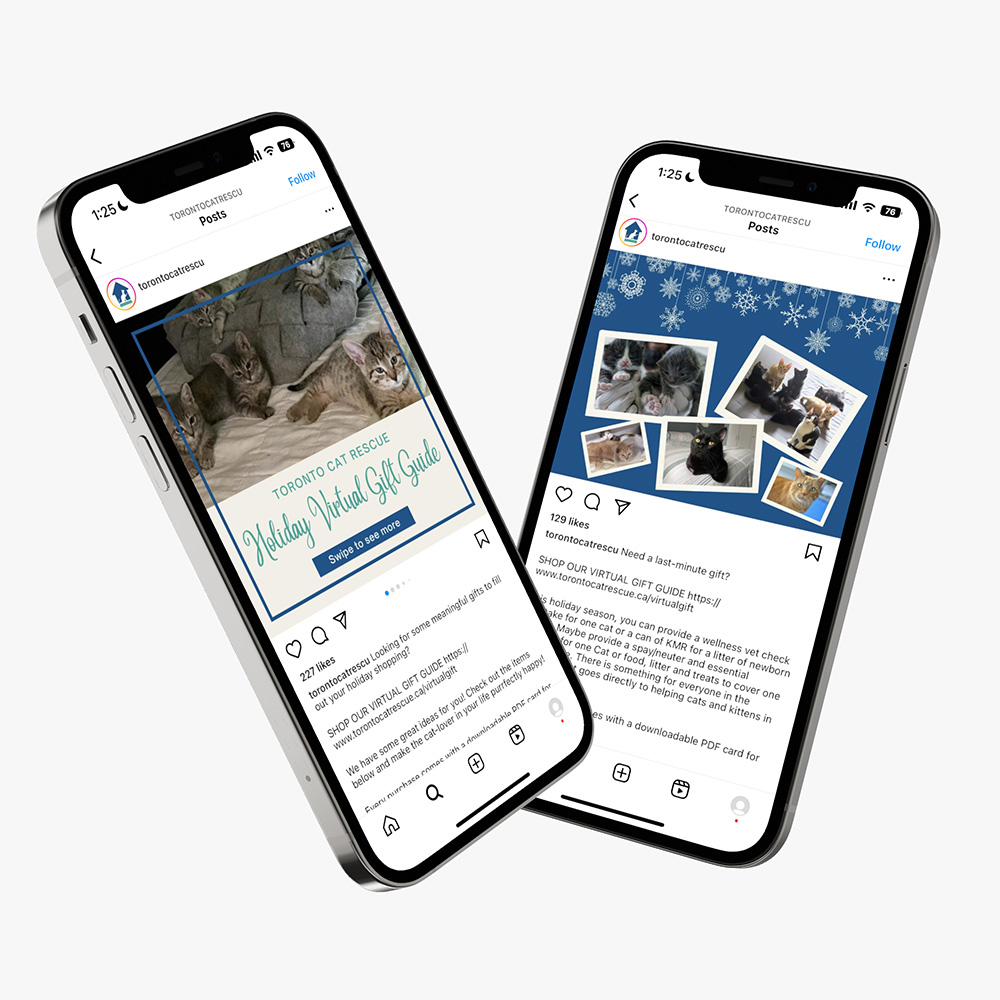Toronto Cat Rescue holiday campaign creative on mobile